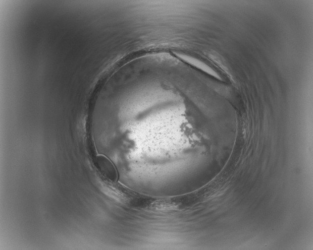 X0000075890491200609291709