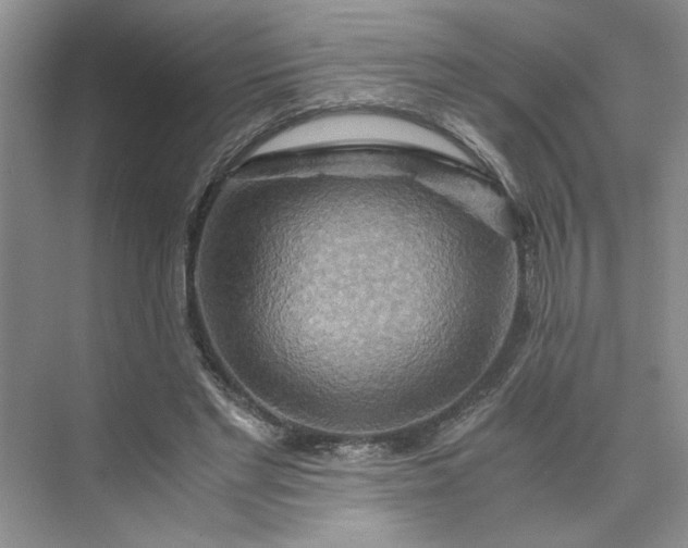 X0000075890493200609291709