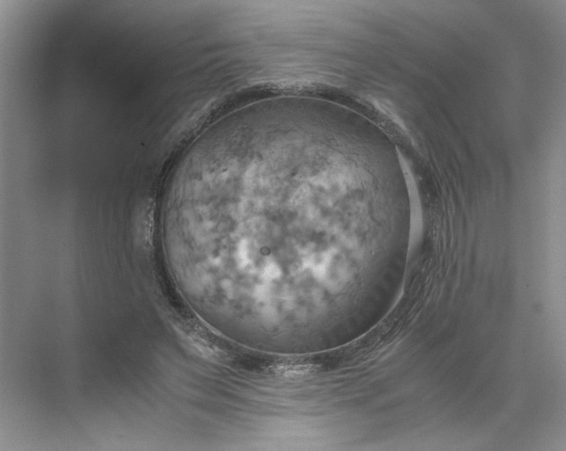 X0000075890495200609291709