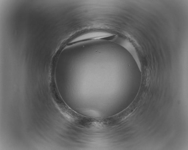 X0000075890496200609291709