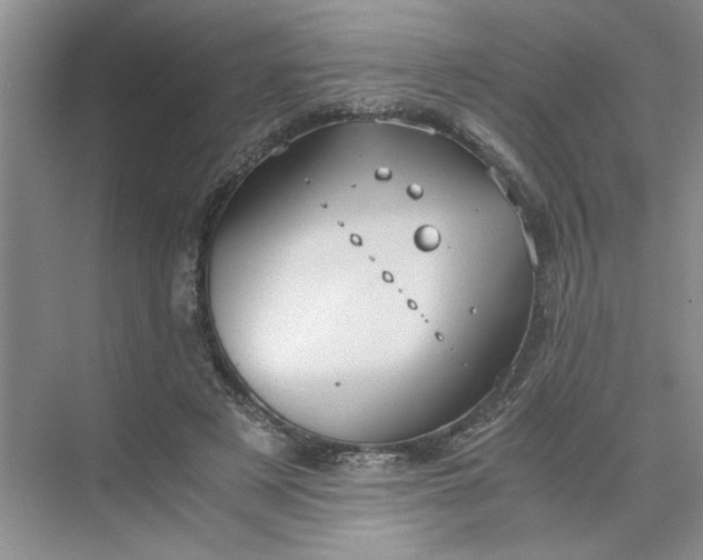 X0000075890497200609291709