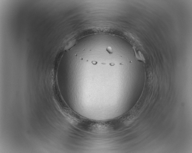 X0000075890498200609291709