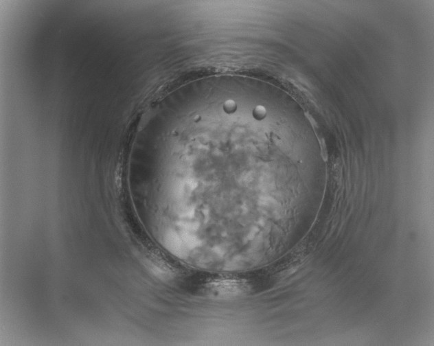 X0000075890499200609291709