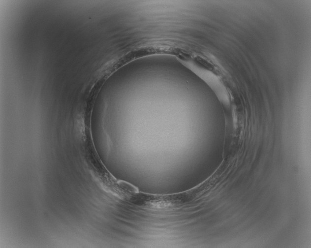 X0000075890500200609291709