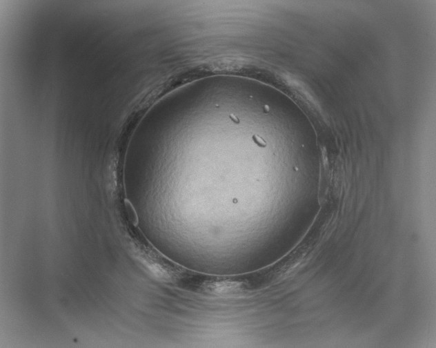 X0000075890501200609291709