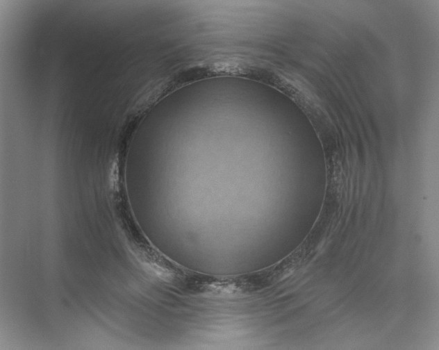 X0000075890502200609291709