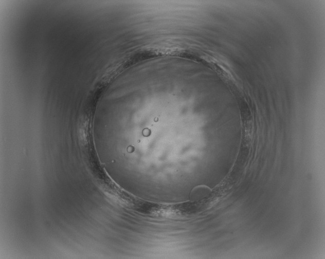 X0000075890503200609291709