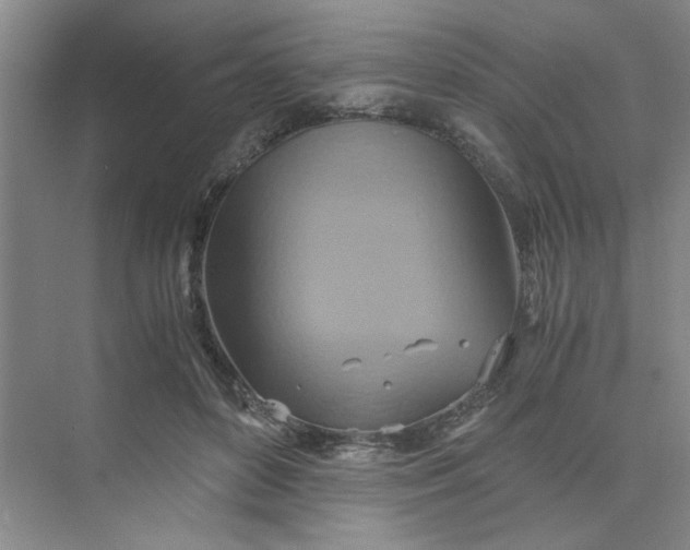 X0000075890504200609291709