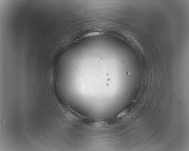 X0000075890505200609291709