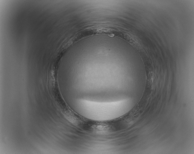 X0000075890506200609291709