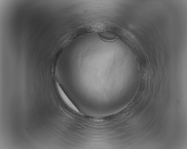 X0000075890507200609291709