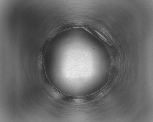 X0000075890509200609291709