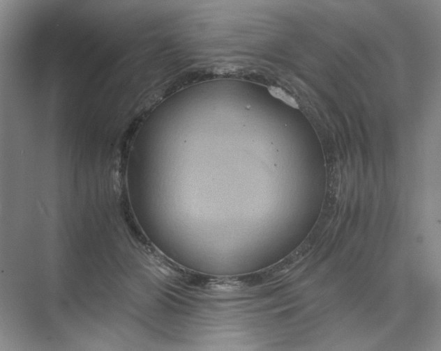 X0000075890510200609291709