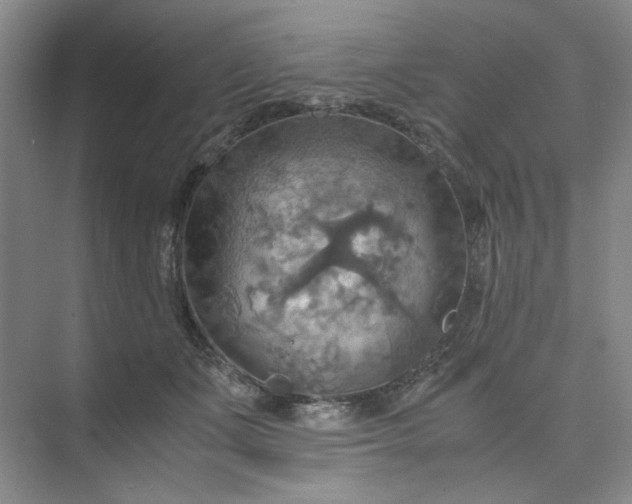 X0000075890511200609291709