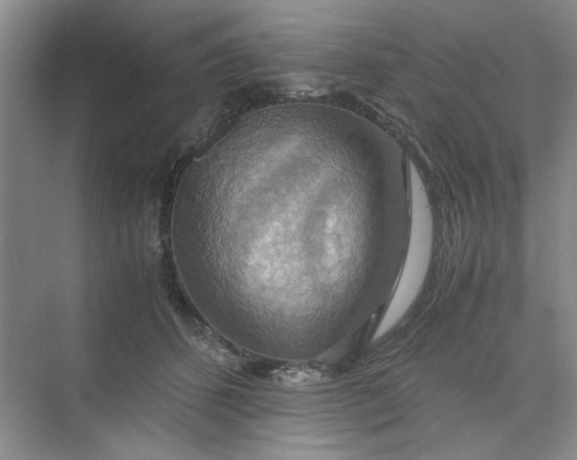 X0000075890512200609291709