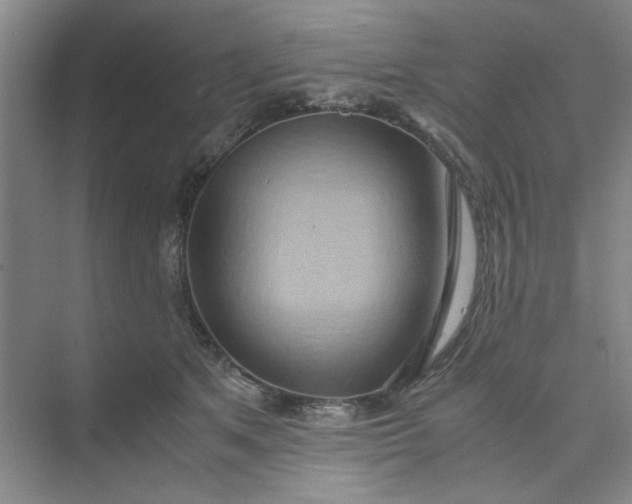 X0000075890513200609291709