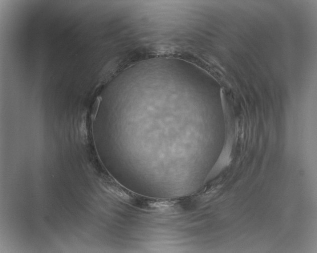 X0000075890516200609291709