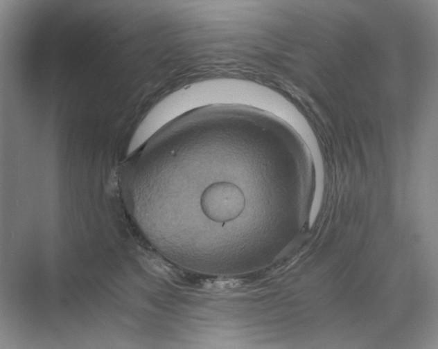 X0000075890517200609291709