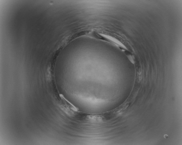 X0000075890520200609291709