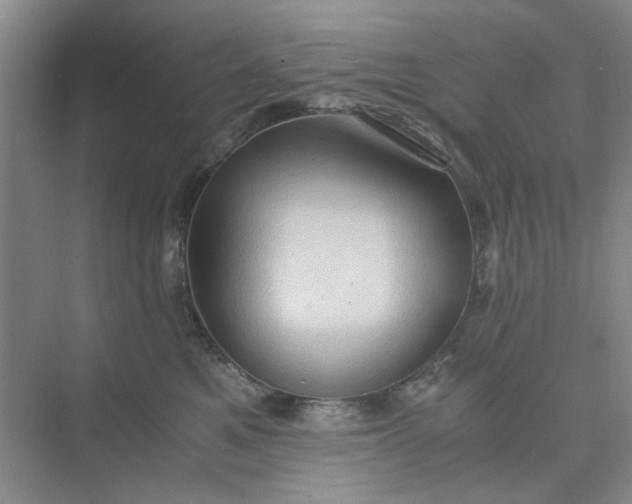 X0000075890521200609291709