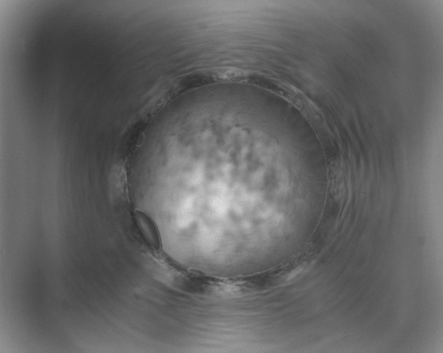 X0000075890523200609291709