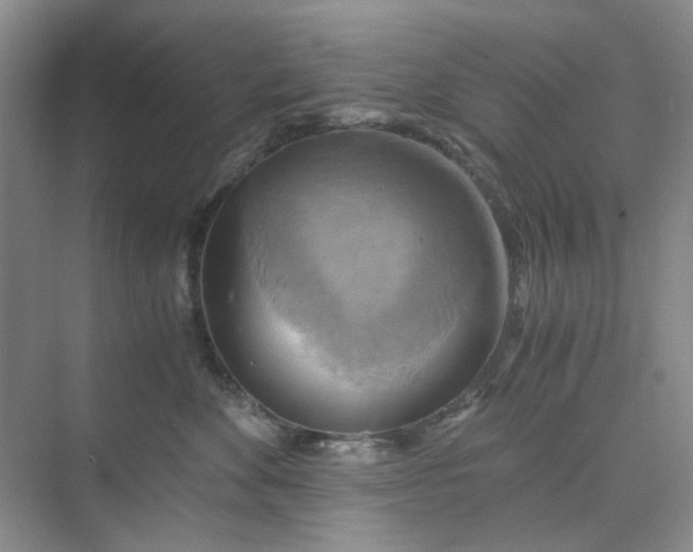 X0000075890524200609291709