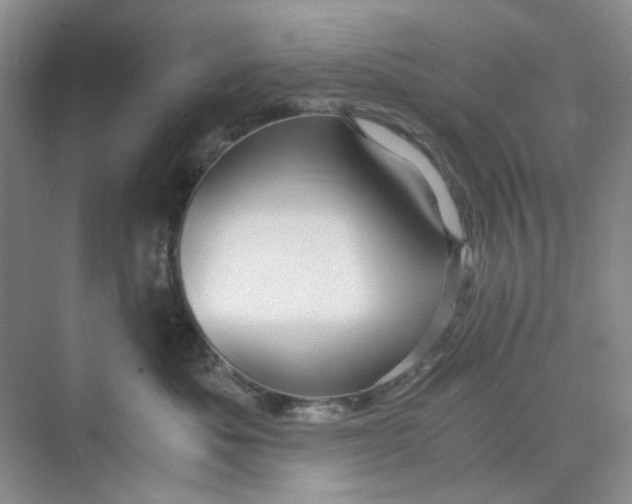 X0000075890525200609291709