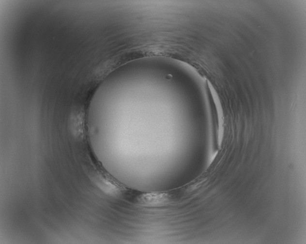 X0000075890526200609291709