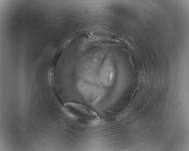 X0000075890527200609291709