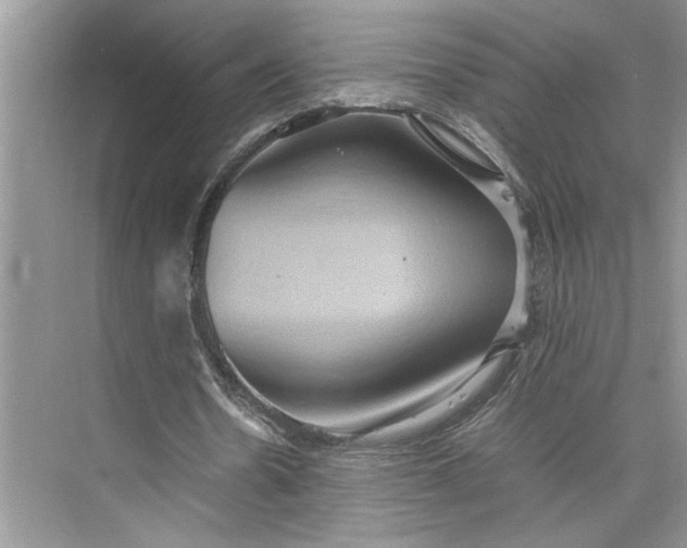 X0000075890530200609291708