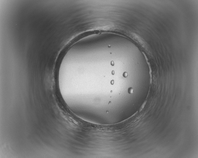 X0000075890532200609291708