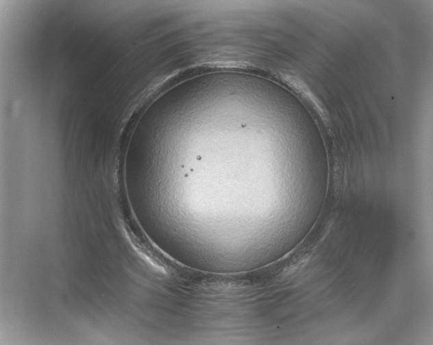 X0000075890533200609291708