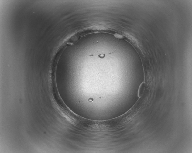 X0000075890535200609291708