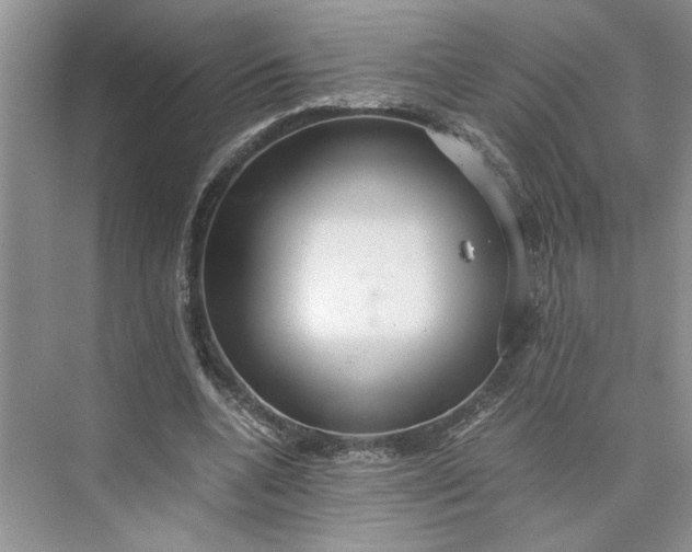 X0000075890536200609291708