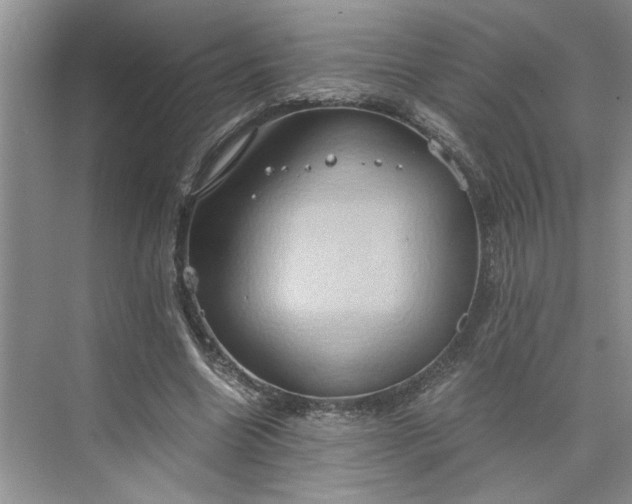 X0000075890538200609291708