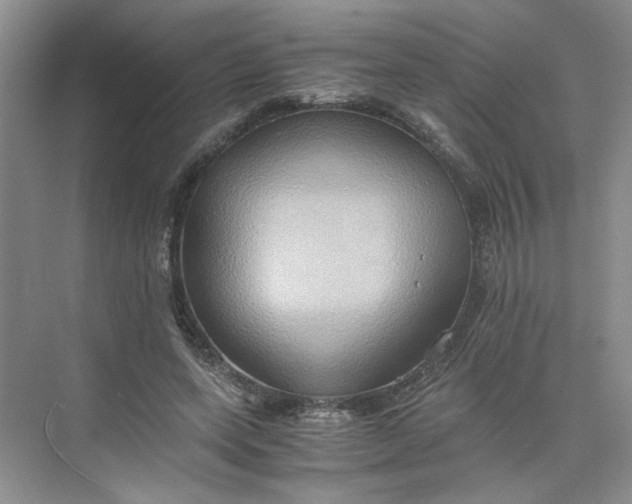 X0000075890543200609291708