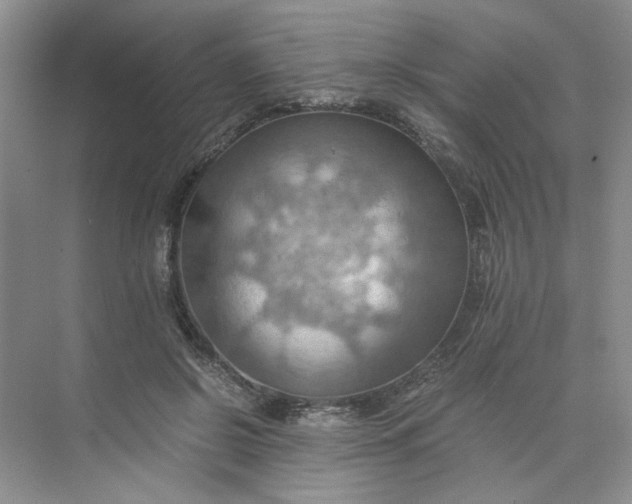 X0000075890550200609291708