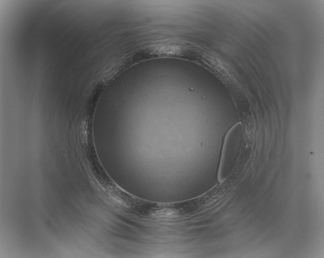 X0000075890551200609291708