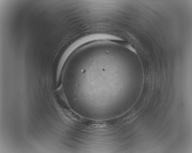 X0000075890552200609291708