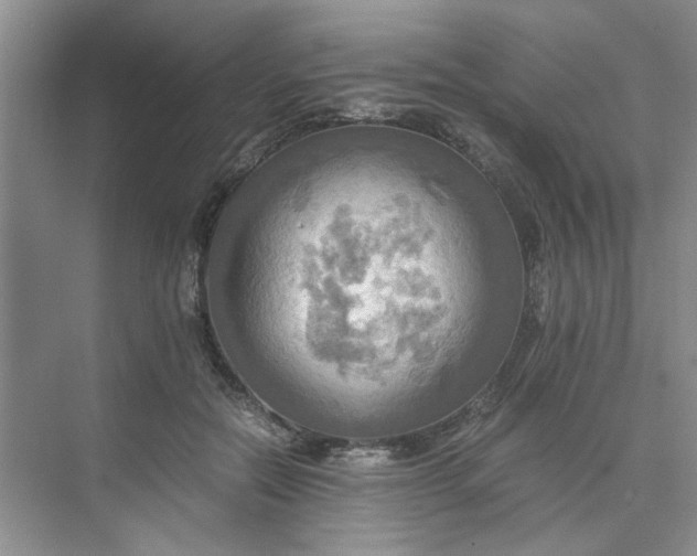 X0000075890554200609291708