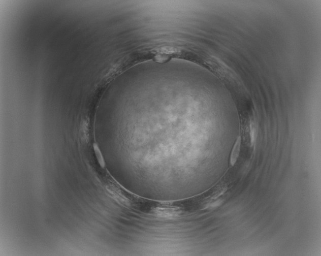 X0000075890556200609291708