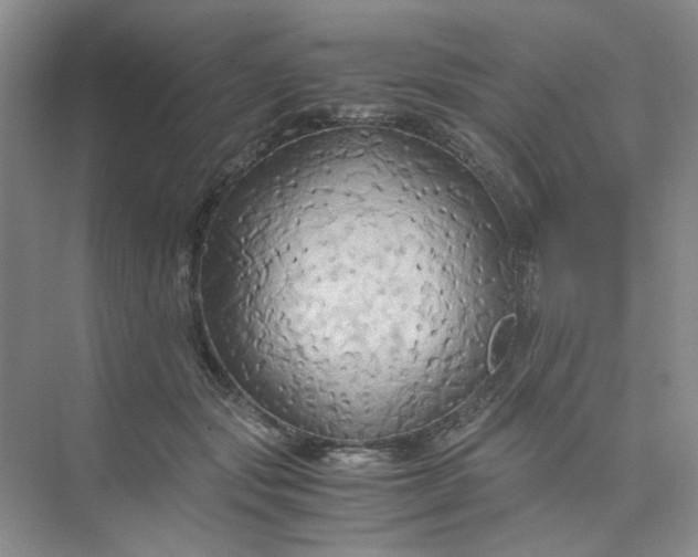 X0000075890557200609291708