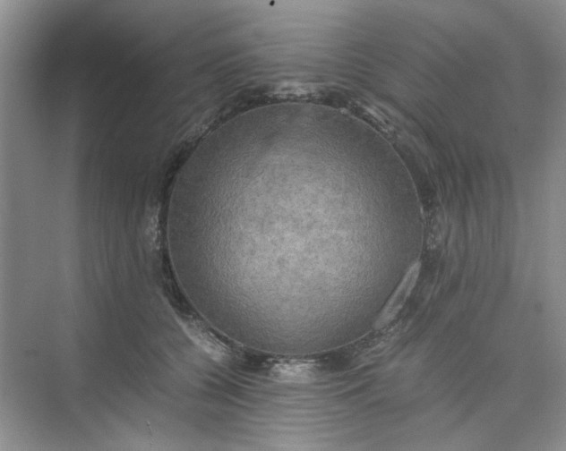 X0000075890560200609291709