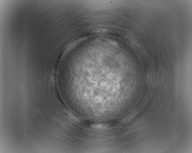 X0000075890561200609291709