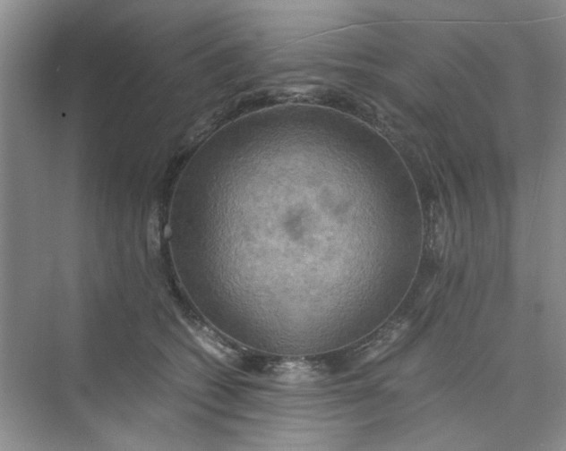 X0000075890562200609291709