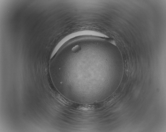 X0000075890563200609291709