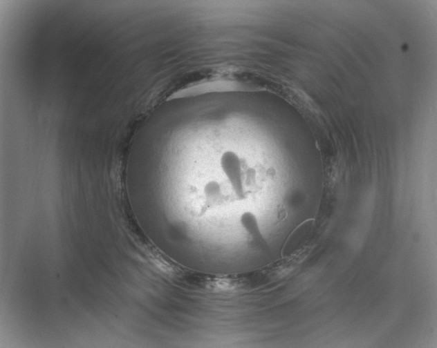 X0000075890565200609291709