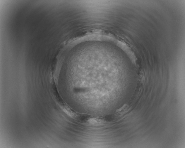 X0000075890568200609291709