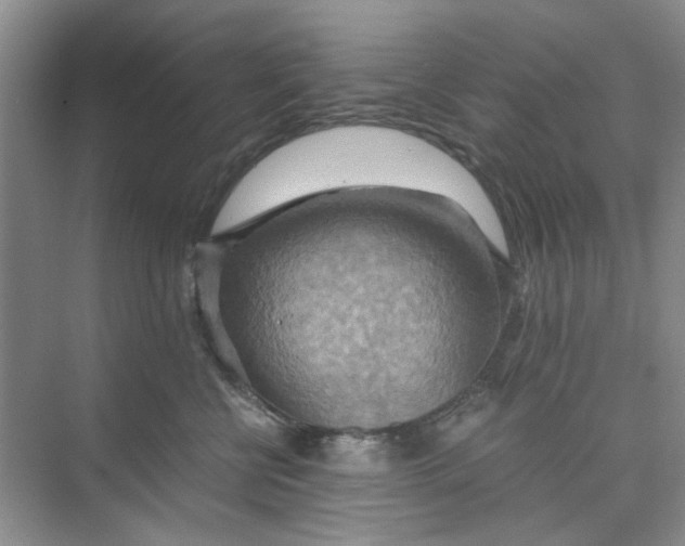 X0000075890570200609291709