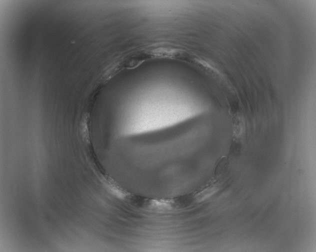 X0000075890573200609291709